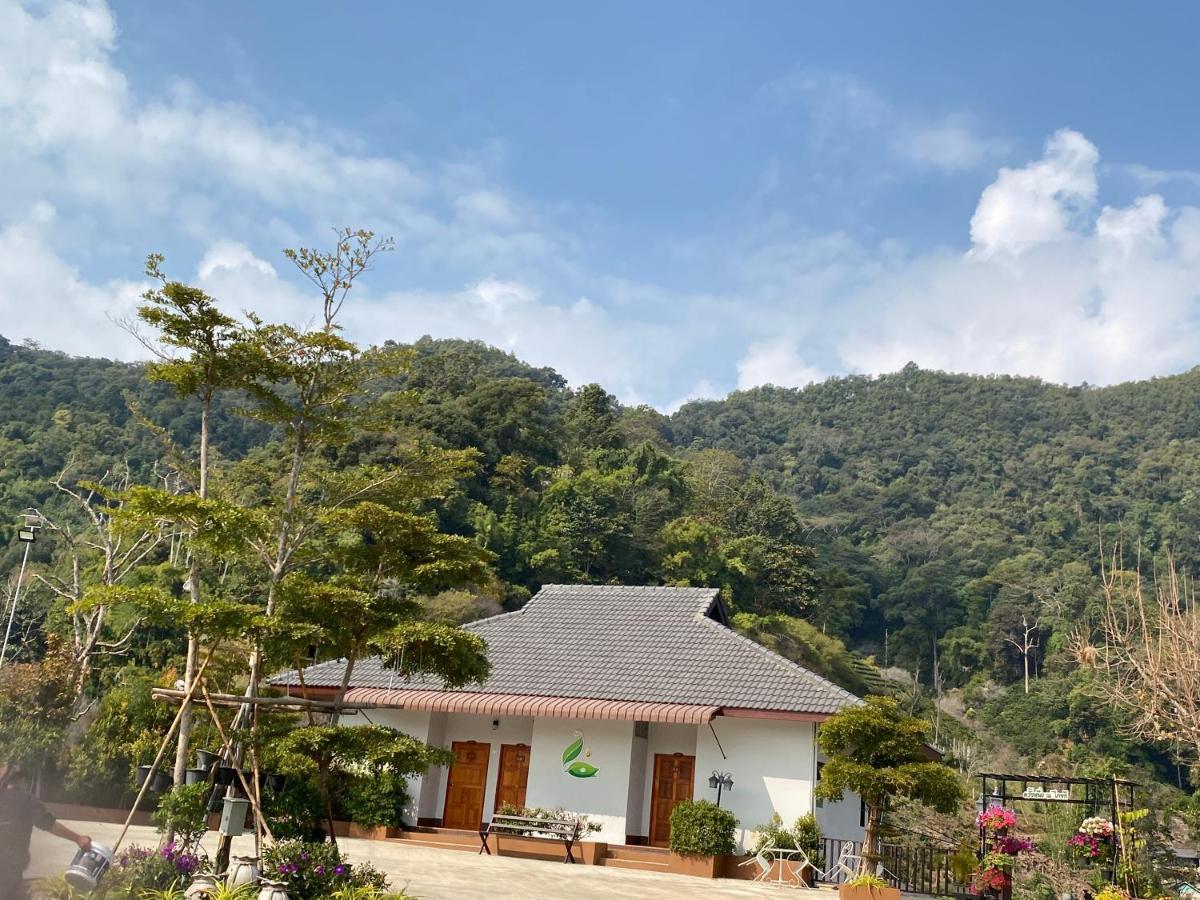 Thai Tea Garden Home Чианг Рай Екстериор снимка